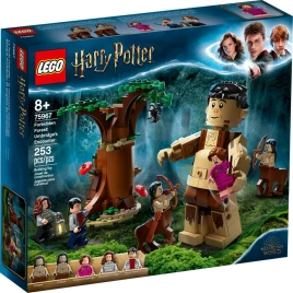 Конструктор LEGO Harry Potter Forbidden Forest: Umbridge's Encounter 75967