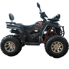 Квадроцикл Kugoo K4 Pro Black